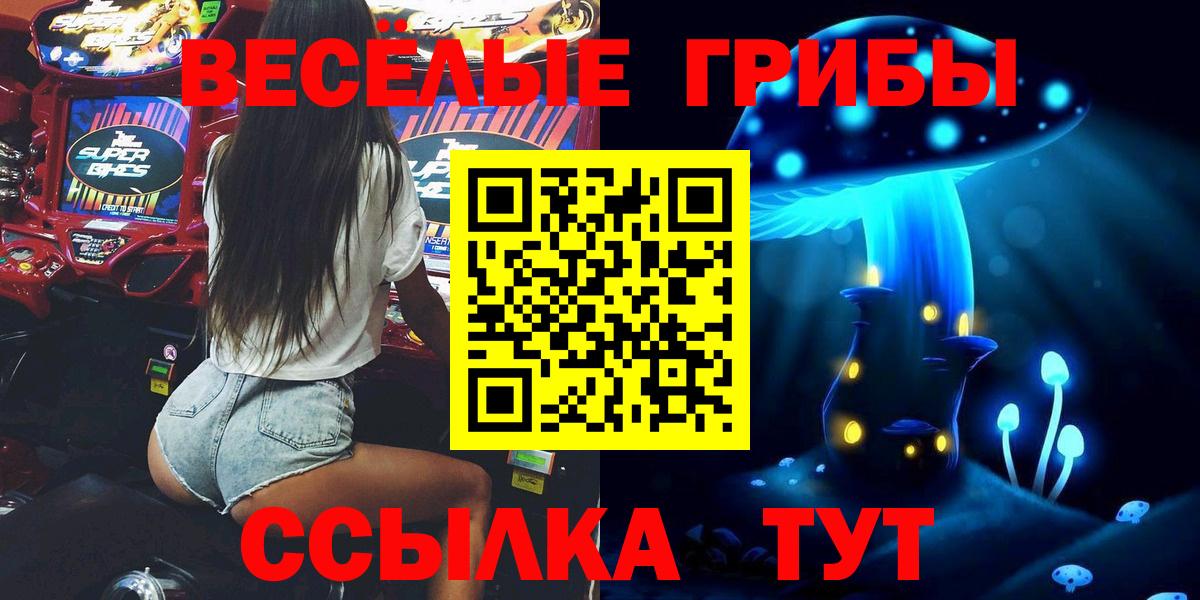 Псилоцибиновые грибы Psilocybe Кизляр