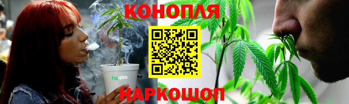 Шишки марихуана сатива  Вход с VPN  МАРИХУАНА Ganja  Шишки марихуана планчик  Кизляр 